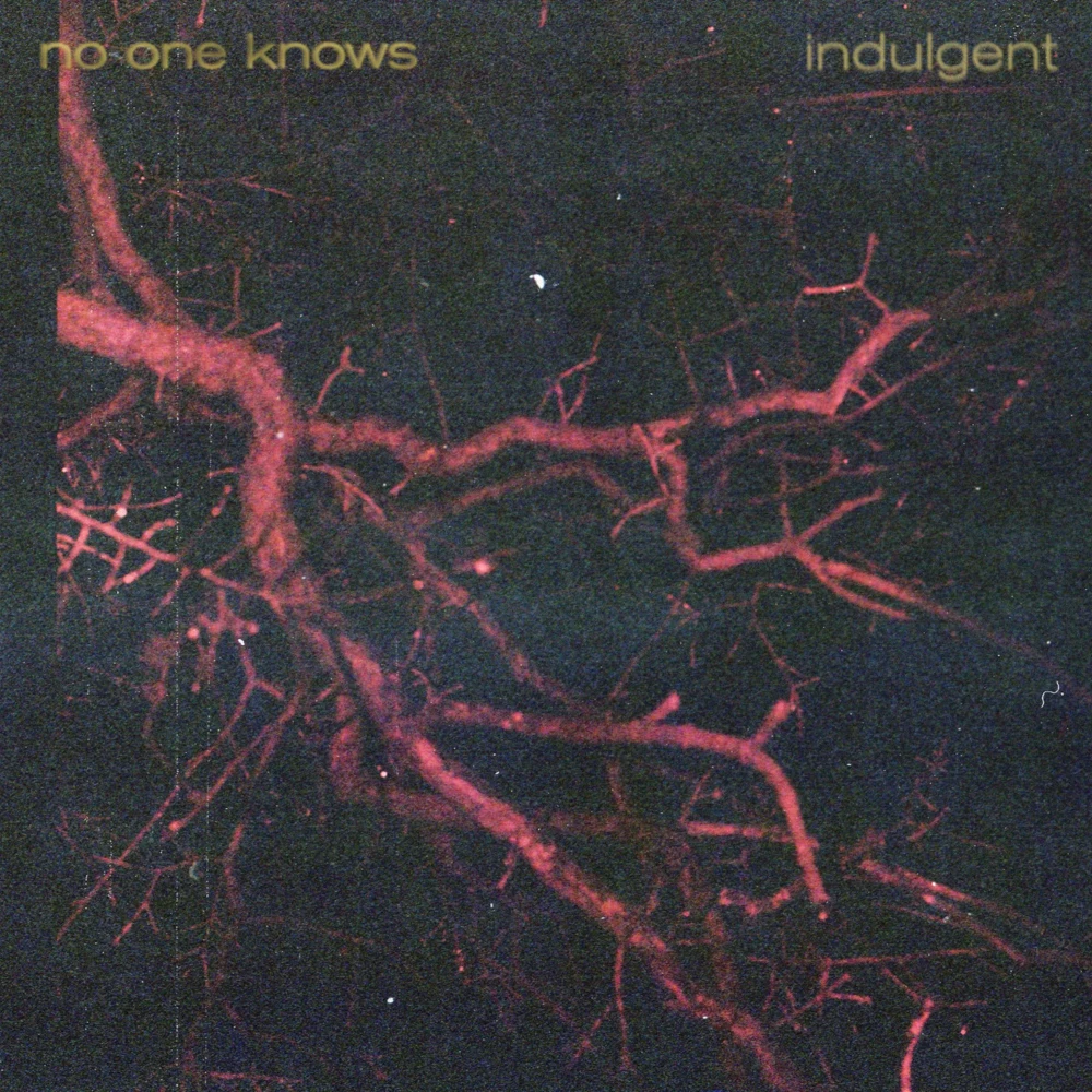 no one knows by indulgent album cover